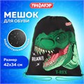 Мешок для обуви ПИФАГОР, 1 отделение, 42х34 см, "Dino roar", 272387 272387