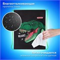 Мешок для обуви ПИФАГОР, 1 отделение, 42х34 см, "Dino roar", 272387 272387