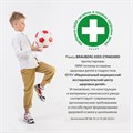 Ранец BRAUBERG KIDS STANDARD, 2 отделения, "Spaceman", СВЕТЯЩИЙСЯ, 36х28х14 см, 271384 271384