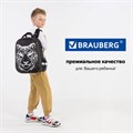 Ранец BRAUBERG SHINY, 2 отделения, с брелком, "Tiger", СВЕТЯЩИЙСЯ РИСУНОК, 38х28х14 см, 270698 270698