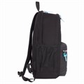 Рюкзак BRAUBERG FASHION CITY универсальный, 2 отделения, "Skateboard", черный, 46х31х15 см, 229969 229969