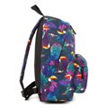 Рюкзак BRAUBERG СИТИ-ФОРМАТ универсальный, "Toucans", разноцветный, 41х32х14 см, 228847 228847