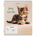 Тетрадь 12 л. BRAUBERG косая линия, обложка картон, CATS AND DOGS, 107288 107288