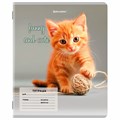 Тетрадь 12 л. BRAUBERG косая линия, обложка картон, CATS AND DOGS, 107288 107288
