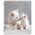Тетрадь 12 л. BRAUBERG косая линия, обложка картон, CATS AND DOGS, 107288 107288
