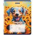 Тетрадь 12 л. BRAUBERG линия, обложка картон, DOGS, 107281 107281