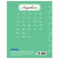 Тетрадь 12 л. BRAUBERG ЭКО "5-КА", косая линия, обложка плотная мелованная бумага, ЗЕЛЕНАЯ, 104762 104762