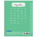 Тетрадь 12 л. BRAUBERG ЭКО "5-КА", частая косая линия, обложка плотная мелованная бумага, ЗЕЛЕНАЯ, 104766 104766