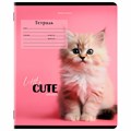 Тетрадь 12 л. BRAUBERG, клетка, обложка картон, CUTE ANIMALS, 107266 107266