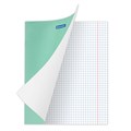 Тетрадь 18 л. BRAUBERG "ЭКО", клетка, обложка плотная мелованная бумага, ЗЕЛЕНАЯ ПАСТЕЛЬНАЯ, 105675 105675