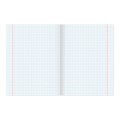 Тетрадь 18 л. BRAUBERG "ЭКО", клетка, обложка плотная мелованная бумага, ЗЕЛЕНАЯ ПАСТЕЛЬНАЯ, 105675 105675