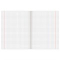 Тетрадь 18 л. BRAUBERG "ЭКО", клетка, обложка плотная мелованная бумага, ПАСТЕЛЬНАЯ С УГОЛКОМ, 402804 402804
