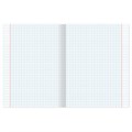 Тетрадь 24 л. BRAUBERG, клетка, обложка картон, ПОЛОСКИ, 401863 401863
