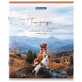 Тетрадь А5 48 л. BRAUBERG скоба, клетка, обложка картон, "Best Friends" (микс в спайке), 404360 404360