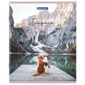 Тетрадь А5 48 л. BRAUBERG скоба, клетка, обложка картон, "Best Friends" (микс в спайке), 404360 404360