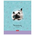 Тетрадь А5 48 л. HATBER скоба, клетка, обложка картон, "Кошарики" (микс в спайке), 075302, 48Т5В1 404481 - фото 273799 Тетрадь А5 48 л. HATBER скоба, клетка, обложка картон, "Кошарики" (микс в спайке), 075302, 48Т5В1 404481 - фото 273799