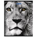 Тетрадь А5, 48 л., BRAUBERG скоба, клетка, обложка картон, ДИКИЕ И СВОБОДНЫЕ, 401810 401810