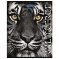Тетрадь А5, 48 л., BRAUBERG скоба, клетка, обложка картон, ДИКИЕ И СВОБОДНЫЕ, 401810 401810