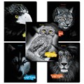 Тетрадь А5, 48 л., BRAUBERG, скоба, клетка, выборочный лак, "Wild eyes" (микс в спайке), 404343 404343 - фото 274361