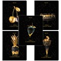 Тетрадь А5, 48 л., BRAUBERG, скоба, клетка, матовая ламинация, фольга, "Black&Gold" (микс в спайке), 404370 404370 - фото 274449