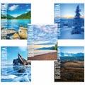 Тетрадь А5, 48 л., BRAUBERG, скоба, клетка, обложка картон, ПРИРОДА, 403031 403031 - фото 274526