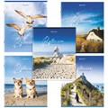 Тетрадь А5, 80 л., BRAUBERG, скоба, клетка, обложка картон, "By the Sea", 404410 404410 - фото 275328
