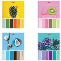 Тетрадь А5, 80 л., HATBER гребень, клетка, обложка картон, "Color Set" (4 вида в спайке), 80Т5В1гр 404491 - фото 275344