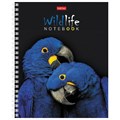 Тетрадь А5, 80 л., HATBER гребень, клетка, обложка картон, "ЗОО_мир" (4 вида в спайке), 80Т5В1гр 404493
