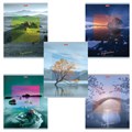 Тетрадь А5, 80 л., HATBER, скоба, клетка, обложка картон, "IMPRESSIONS" (микс), 046880, 80Т5В1 402911 - фото 275361