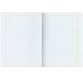 Тетрадь А5, 96 л., BRAUBERG, скоба, клетка, глянцевая ламинация, "Nature", 404427 404427