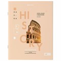 Тетради предметные со справочным материалом, КОМПЛЕКТ 12 ПРЕДМЕТОВ, 48 л., обложка картон, BRAUBERG, "VISION", 404323 404323