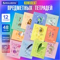 Тетради предметные со справочным материалом, КОМПЛЕКТ 12 ПРЕДМЕТОВ, 48 л., обложка картон, BRAUBERG, "VISION", 404323 404323