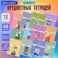 Тетради предметные, КОМПЛЕКТ 12 ПРЕДМЕТОВ, 48 л., обложка картон, BRAUBERG, "DELIGHT", 404606 404606
