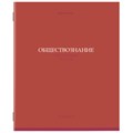 Тетради предметные, КОМПЛЕКТ 13 ПРЕДМЕТОВ, 36 л., обложка мелованная бумага, BRAUBERG, "КОЛОР", 405161 405161