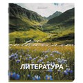 Тетрадь предметная КЛАССИКА ПРИРОДА 48 л., обложка картон, ЛИТЕРАТУРА, линия, подсказ, BRAUBERG, 405090 405090 - фото 278333