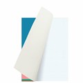 Тетрадь А4, 60 л., BRAUBERG, скоба, клетка, обложка картон, "Color", 404043 404043