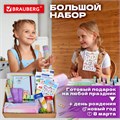 Набор канцелярии подарочный BRAUBERG "PASTEL", 18 наименований, 63 предмета, 880952 880952