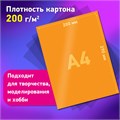 Набор картона БЕЛЫЙ + ЦВЕТНОЙ А4 мелованный, 10 листов (белый 4 листа + цветной 6 листов), в папке, BRAUBERG, 116630 116630