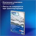 Картон белый А4 МЕЛОВАННЫЙ (белый оборот) 200 листов, в коробе, BRAUBERG, 210х297 мм, 116632 116632