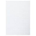 Картон белый А4 МЕЛОВАННЫЙ (белый оборот), 8 листов, BRAUBERG, 200х280 мм, 115491 115491
