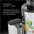 Соковыжималка POLARIS PEA 0829 Fruit Fusion, 800 Вт, стакан 0,35 л, емкость жмыха 1 л, пластик, сталь/черный, 15935 456738